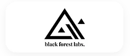 Black Forest Labs